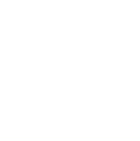 Programmer